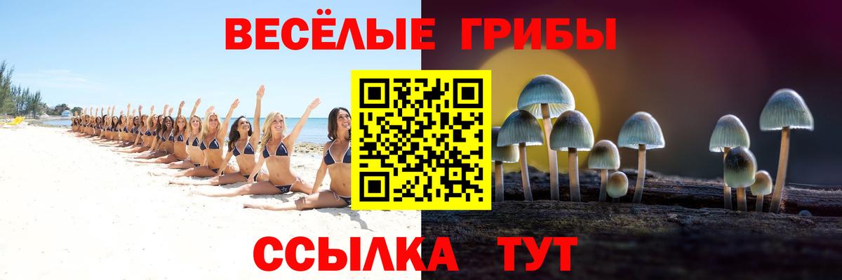 Галлюциногенные грибы Cubensis  Вход с VPN  Севастополь  Галлюциногенные грибы GOLDEN TEACHER 